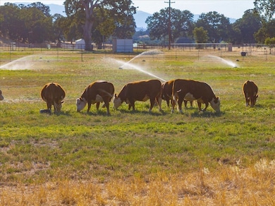 15775 Red Bank Rd, Red Bluff, CA 96080 - photo 2