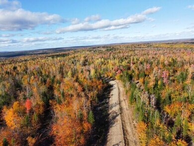 thumbnail_dji_fly_20241011_150524_367_17
