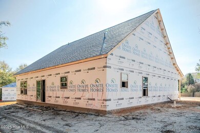 229 Telluride Ct, Aberdeen, NC 28315 - photo 5