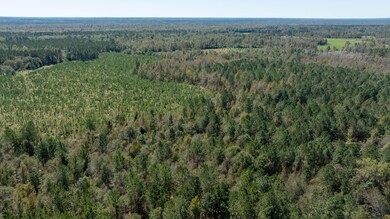 0 Highway 17 unit 21752659, Midville, GA 30441 - photo 5