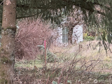 32534 44th Ave S, Federal Way, WA 98001 - photo 4