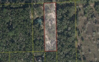 3902 280th St, Branford, FL 32008 - photo 2