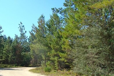 5 Wooded Acres