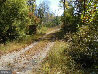 0 Tommy Trail unit 1000546207, Louisa, VA 23093 - photo 2