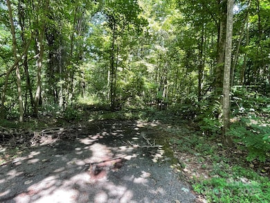 3287 Stones Throw Dr unit 3, Valdese, NC 28690 - photo 5