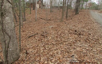 Additional View