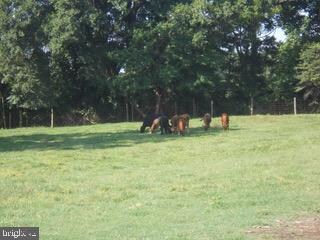 53 N Golfwood Ave, Carneys Point, NJ 08069 - photo 5