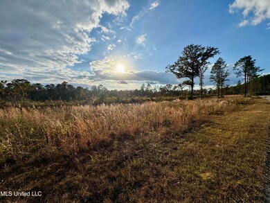 0 Matthew Johnson Rd, Wiggins, MS 39577 - photo 4