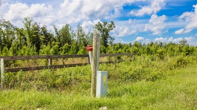 0 Sr 71 S unit MFRT3538966, Wewahitchka, FL 32449 - photo 6