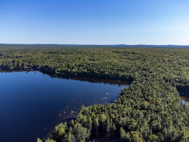 Millinocket Lake Aerial