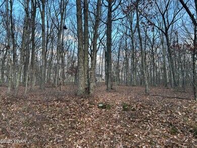 Lot 9 Tamarack Dr, Lackawaxen Township, PA 18428 - photo 4