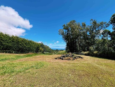 57 Awalau Rd unit A, Haiku, HI 96708 - photo 6