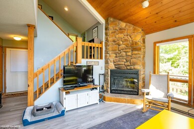 65 Snow Run Rd, Davis, WV 26260 - photo 5