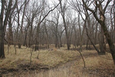 169 335th St, Osawatomie, KS 66064 - photo 4