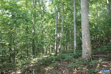 355 Crawfords Climb, Nellysford, VA 22958 - photo 7