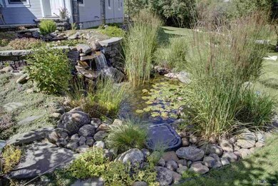 Recirc Ponds and Waterlillies