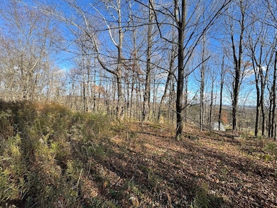 0 E Mountain Rd, Pleasant Mount, PA 18453 - photo 6