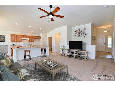 2422 Dandelion Ln, Johnstown, CO 80534 - photo 4