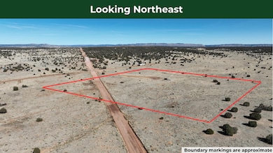 158 Park Rd, Seligman, AZ 86337 - photo 6