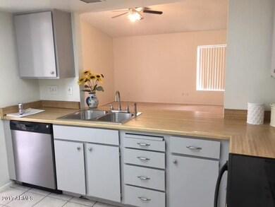 New Sink and Faucet