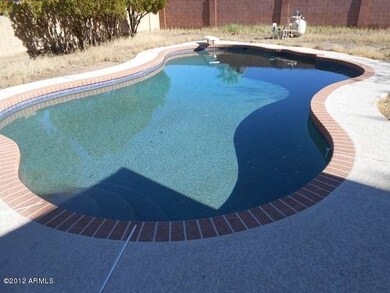 Pebbletech pool