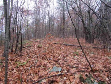 1014 Monument Hill Rd, Castleton, VT 05735 - photo 4