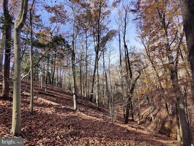 0 Reserved Parcels unit MDAA2083896, Annapolis, MD 21401 - photo 3