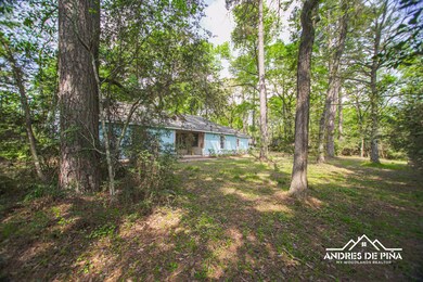 8507 Miller Rd, Magnolia, TX 77354 - photo 7