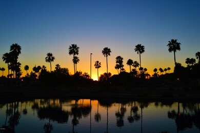 7110 E Juanita Ave, Mesa, AZ 85209 - photo 2