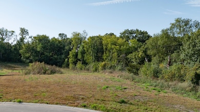 714 114th Ct NE, Blaine, MN 55434 - photo 5