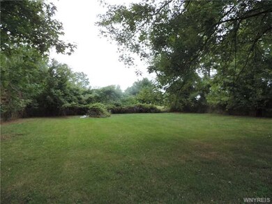 Backyard.