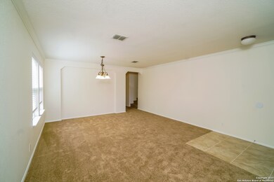 24727 Magnolia Falls, San Antonio, TX 78261 - photo 5