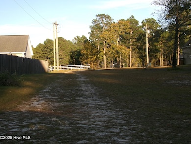 158 Brians Woods Rd, Maple Hill, NC 28454 - photo 5