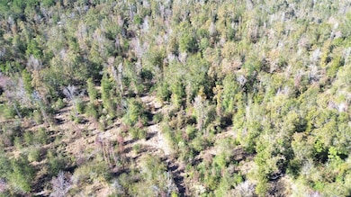 TBD Farm To Market 1280 E, Lovelady, TX 75851 - photo 2