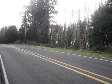Lot from Whiskey Creek Road