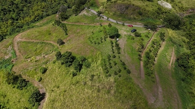 Bo. Río Hondo Carr 156 Km 2 5 Hm 29 4 Sector La Junc, Comerío, PR 00782 - photo 2