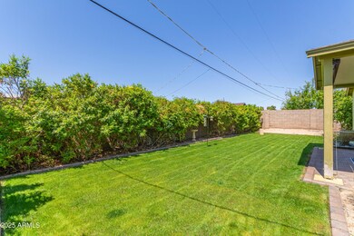 Spacious backyard
