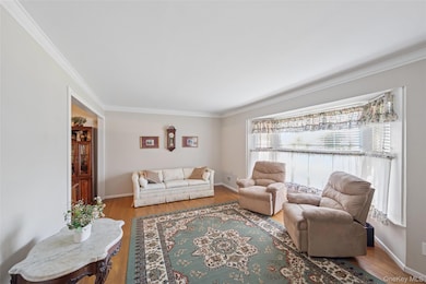 14 Radburn Dr, ComMacK, NY 11725 - photo 3
