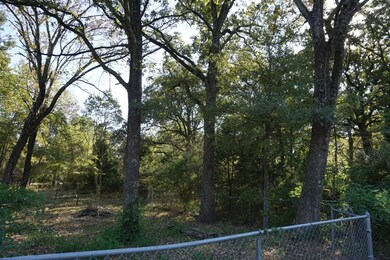 1714 Doc Holiday Dr, Log Cabin, TX 75148 - photo 4