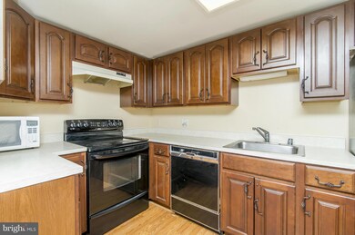 1040 Deer Ridge Dr unit 401, Baltimore, MD 21210 - photo 7