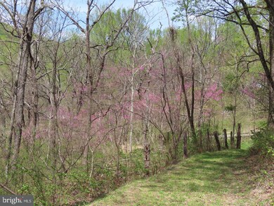 0 Gid Brown Hollow Rd unit VARP2000844, Washington, VA 22747 - photo 4