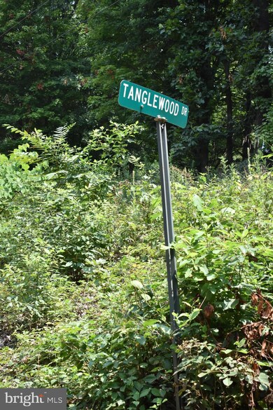0 Tanglewood Dr, Augusta, WV 26704 - photo 4