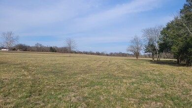 4 Old Nashville Dirt Rd, Shelbyville, TN 37160 - photo 2