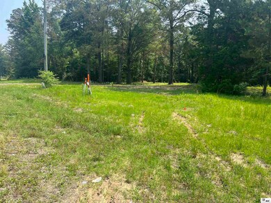 12670 Crossett Rd, Bastrop, LA 71220 - photo 4