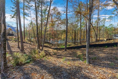 1077 Painted Bunting Dr, Greensboro, GA 30642 - photo 7