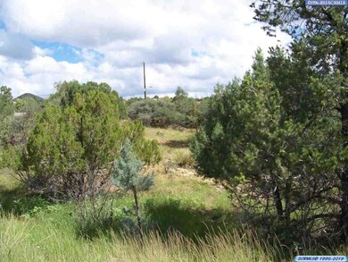 0000 Briarwood Ln, Silver City, NM 88061 - photo 4