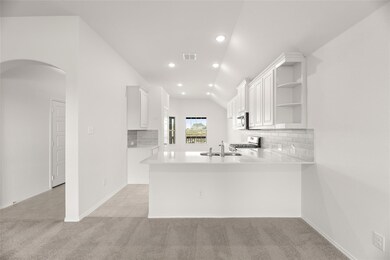 802 Misty Ln, Cleburne, TX 76033 - photo 6