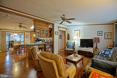 57 White Pine Dr, Millsboro, DE 19966 - photo 4