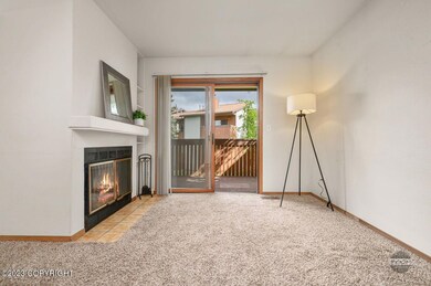 Lots of natural light and fireplace