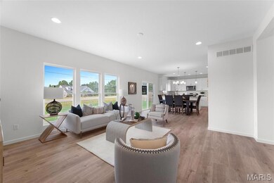 0 Unknown unit MIS25074919, O'Fallon, MO 63385 - photo 6